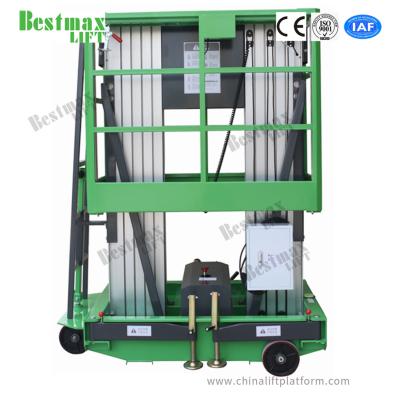 China Double Mast Manual Pushing Vertical Lifting Platform 12 Meters 200kg Load Capacity for sale