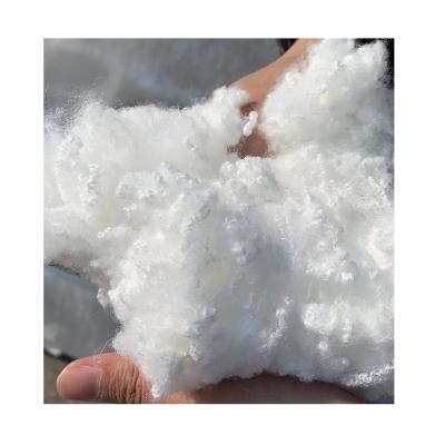 China Durability Highly Durable Micro Fiber Polyester With Anti-Fungal Anti-Bacterial en venta