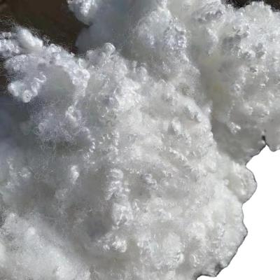 China Hollow Conjugated Fibre High Tensile Siliconized Polyester Fibre White for sale