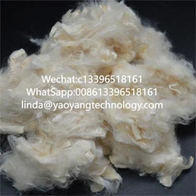 China Organic Soybean Protein Fiber Renewable Soy Bean Fiber Sustainable for sale
