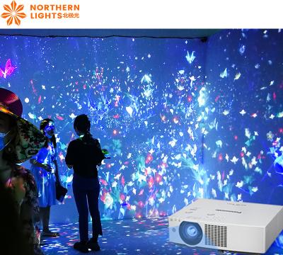 China Wissenschaftsmuseum Projektor Interaktive Wand 110V 250V Interaktive Wandprojektionssystem zu verkaufen
