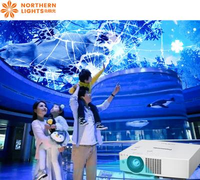 China Interactive Projection Sky Screen Immersive Projector For Shopping Mall for sale