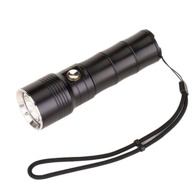 China Powerful IP68 Waterproof  Magnetic Torch Light  5W 450Lm With Cree LED for sale