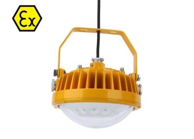 China IP65 Waterproof  Industrial  Explosion Proof LED Lights 5500K Explosion Proof Lamp for sale