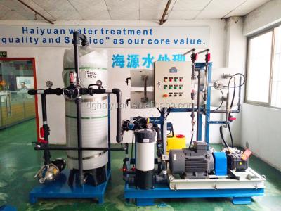 China Planta 1000LPH del RO del agua de mar de la caja SS316L de la madera contrachapada para la producción del agua potable en venta