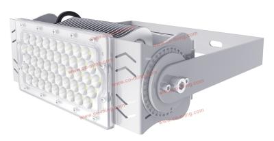 China High Temperature Resistant Adjustable LED Flood Lights 100W 150 - 160 Luminous Efficiency for sale