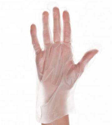 China Food Grade Transparent Disposable TPE Gloves For Cafes Patisseries for sale