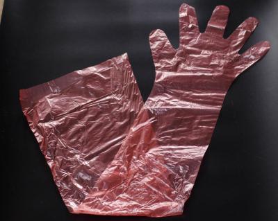 China Customized Disposable Plastic Gloves , Veterinary Gloves Long LDPE Material for sale