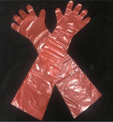 China Wasser-feste Wegwerfplastikhandschuhe, LDPE-lange Veterinärhandschuhe zu verkaufen