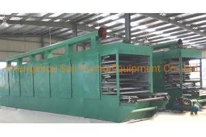 China Dw máquina de secagem de cintura de malha Red Bean secador industrial de pulverização à venda