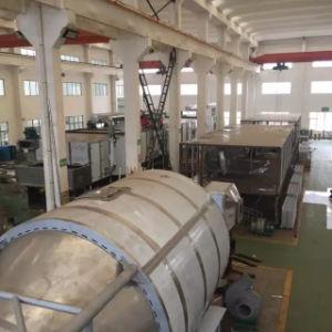 China Chemical Hollow Paddle Dryer SUS304/316L Sludge Paddle Dryer for sale