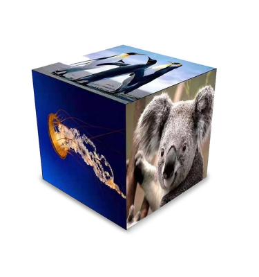 China 3d llevó el cubo ligero llevado dinámico P3 576x576 de la venta al por menor de la caja de presentación de la exhibición del cubo en venta