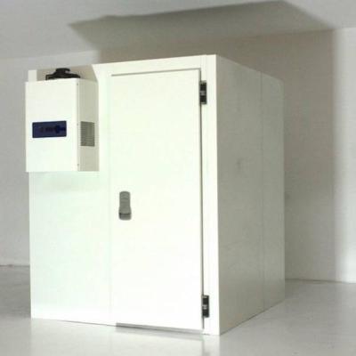 China Modular Refrigeration R22 Cold Chilled Room for sale