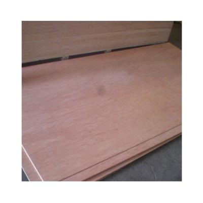 China Contemporary Hot Sale 3mm-20mm Commercial Veneer Bintangor Plywood For Furniture Okoume Veneer Plywood for sale