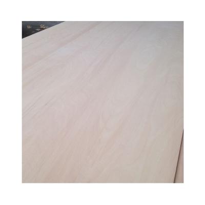 China China Manufacturer New Product Furniture Contemporary Construction Veneer 16mm Birch Plywood for sale