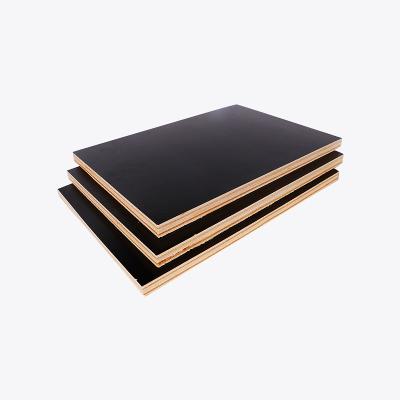 China Modern film faced plywood in south africa phenolic film faced plywood lordplex film faced plywood 15mm 18mm for sale