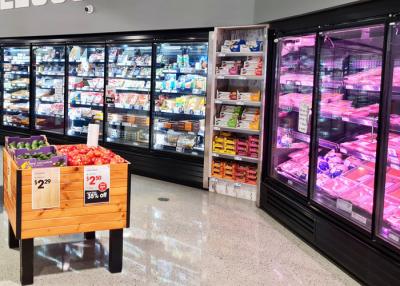 China Temperatura de la puerta del supermercado baja del congelador de cristal vertical de la exhibición en venta