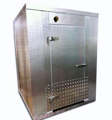China Stucco Embossed Aluminum restaurant walk in cooler cold room for food service for sale