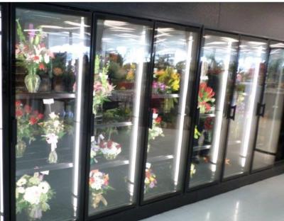 China Floral Display Walk In Coolers walk in glass door cooler colored steel for sale