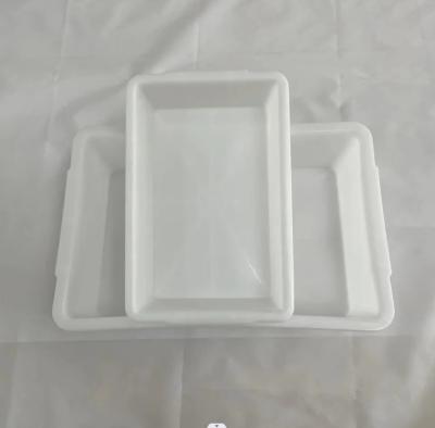 China Supermarket Plastic Thickened White Rectangular Storage Ice Tray Display Food Freezer Box for sale