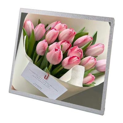 China 30 Pin 19 Inch Small Lcd Panel Advertising Display Sunlight Readable Lcd Module for sale