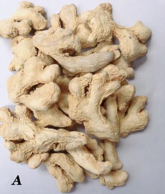 China Dehydrated Air Dried Ginger for sale