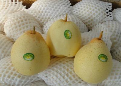 China Delicious Oriental Pear for sale