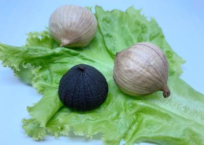 China 3.5cm Dehydrated Black Garlic for sale