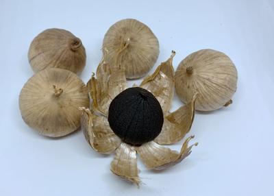 China 5.5cm Fermented Black Garlic products for sale