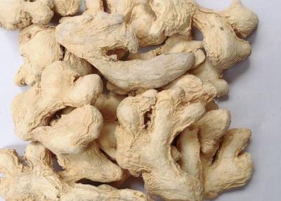 China 100g Young Air Dried Ginger for sale