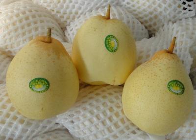 China 18kg   Fresh Chinese Ya Pears Fruit for sale