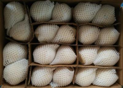China HACCP White Chinese Ya Pears for sale