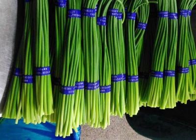China Fresh Garlic Bolt for sale