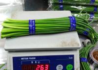 China Nieuw Gewassenknoflook die groene stammen kweken Te koop