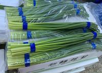 China 250g bundle HACCP garlic growing stems for sale