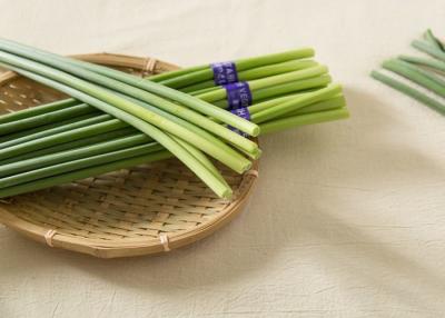 China 30CM Supermarket Fresh Garlic Bolt Stem for sale