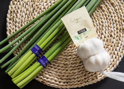 China 10kg Fresh Garlic Bolt Sprouts for sale