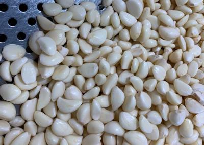 China 3.53oz 100g Peeled Garlic Cloves for sale