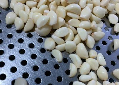 China 500g Crop Chopped Fresh Peeled Garlic Cloves for sale