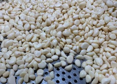 China Vacuum Peeled Garlic Cloves for sale