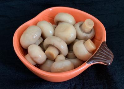China Cogumelos de botão enlatados inteiros cozinhados à venda