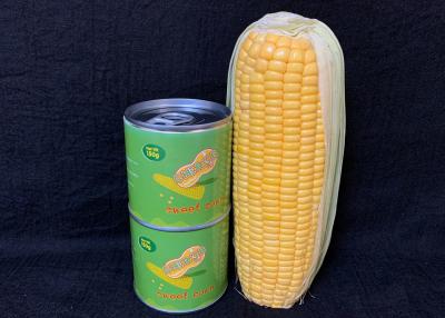 China HALAL No GMO Easy Open Good Taste Canned Sweet Corn for sale