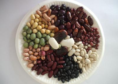China Dried Beans Chinese White Kidney Beans for sale