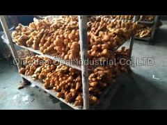 How to process Chinese Fresh Ginger for exporting