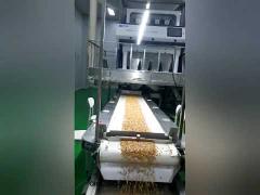 How to make peanut butter in factory
