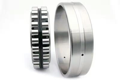 China NN3020KP4W33P5 Pressed Steel Single Row Cylindrical Roller Bearing With Snap Ring Groove for sale