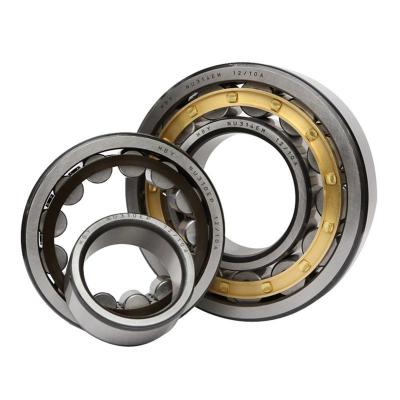 China RN205M RN206M Steel / Brass Cage Eccentric Roller Contact Bearing for sale