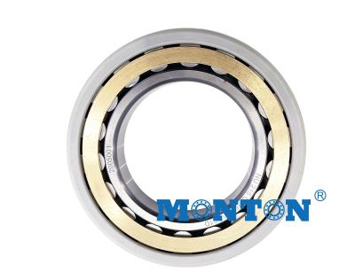 China Hybrid Insulated Motor Bearings with ceramic rolling elements for sale