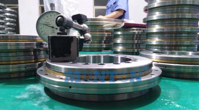 China YRTS460 460*600*70mm Rotary Table Bearing for sale