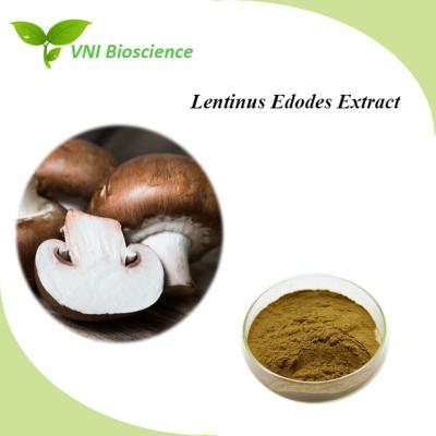 Κίνα Φυσικό φρουτοειδές σώμα Μανιτάρια σκόνη Καφέ Lentinus Edodes εκχύλισμα προς πώληση
